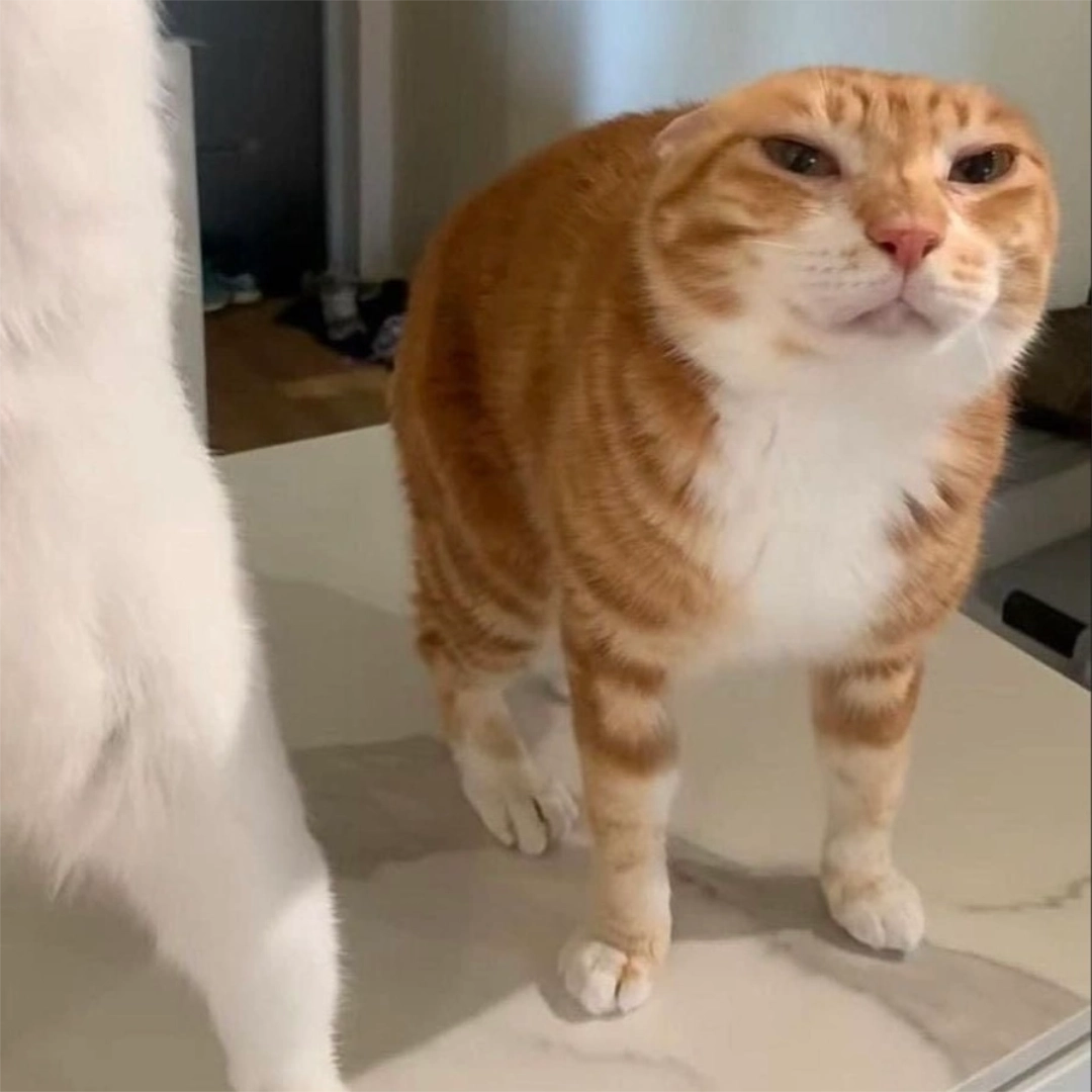 Logan Bricklestick Irons