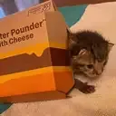Quarter Pounder with Cheese